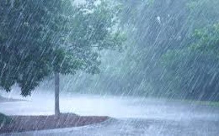 അതിശക്തമായ മഴ വരുന്നു, അഞ്ച് ദിവസം മഴ തന്നെ; നാല് ജില്ലകളിൽ യെല്ലോ അലേർട്ട്