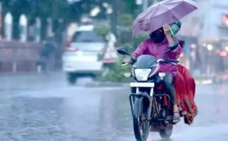 മൂന്ന് ജില്ലകളിൽ ശക്തമായ മഴയ്ക്ക് സാധ്യത, യെല്ലോ അലേർട്ട്; ഇന്നത്തെ കാലാവസ്ഥ ഇങ്ങനെ