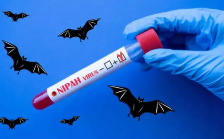 നിപ: ഈ അഞ്ച് കാര്യങ്ങൾ കൃത്യമായി പാലിക്കണം, നിർദേശവുമായി ആരോഗ്യ മന്ത്രി വീണാ ജോര്‍ജ്