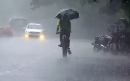 ബെംഗളൂരുവിൽ ശക്തമായി മഴ തുടരുന്നു: പലയിടത്തും വ്യാപക നാശനഷ്ടം, യെല്ലോ അലെർട്; വിശദമായി അറിയാം