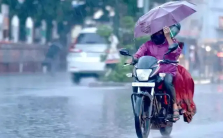 ഇന്ന് 12 ജില്ലകളിൽ മഴ കനക്കാൻ സാധ്യത, യെല്ലോ അലേർട്ട്; കാലാവസ്ഥ മുന്നറിയിപ്പ് ഇങ്ങനെ