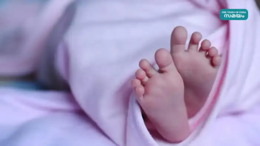 അമ്മത്തൊട്ടിലിൽ 6 ദിവസം പ്രായമുള്ള പെൺകുഞ്ഞ്; 'കാശ്മീര' എന്ന് പേരിട്ടു; പഹൽഗാമിൽ പൊലിഞ്ഞവരുടെ ഓർമ്മയ്ക്ക്.