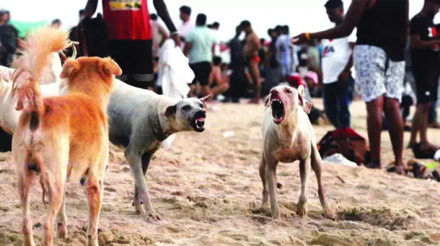 വീണ്ടും പേവിഷബാധ മരണം; തിരുവനന്തപുരത്ത് ചികിത്സയിലായിരുന്ന ഏഴ് വയസ്സുകാരി മരിച്ചു, ഒരു മാസത്തിനിടെ മൂന്ന് കുട്ടികൾ
