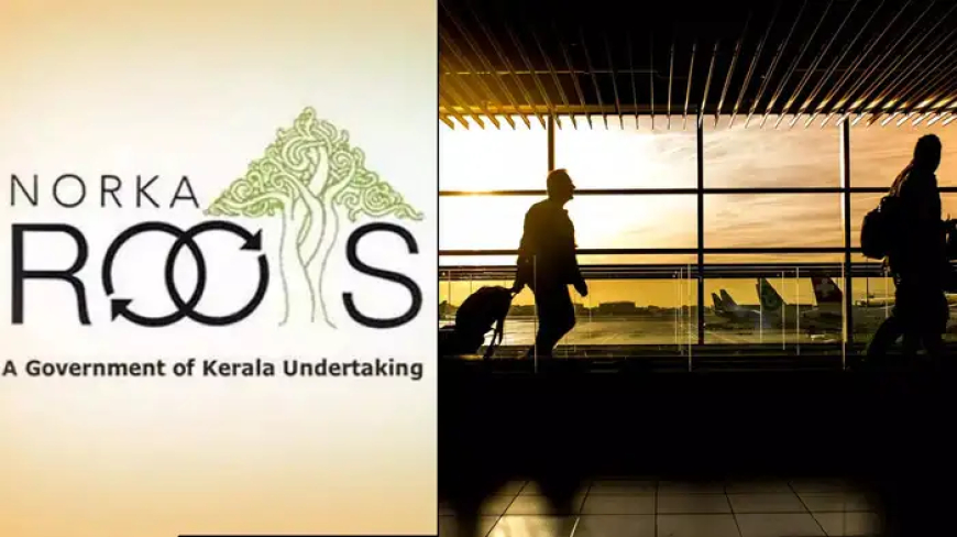 മടങ്ങിയെത്തിയ പ്രവാസിയാണോ? നിങ്ങൾക്കായി നോർക്കയുടെ ജോലി അവസരം ‘നെയിം’ പദ്ധതിക്ക് തുടക്കം