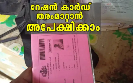 വെള്ള, നീല റേഷൻ കാർഡുകൾ പിങ്ക് കാർഡായി തരംമാറ്റാം; ഓൺലൈനിൽ ഇങ്ങനെ അപേക്ഷിക്കാം
