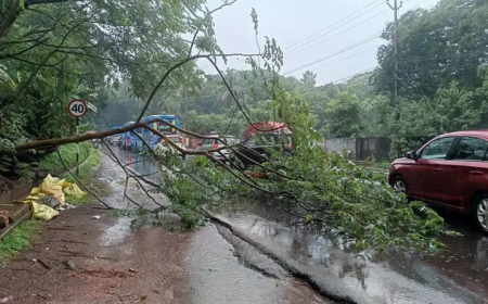 കനത്ത മഴയിൽ വ്യാപക നാശനഷ്ടം; എറണാകുളത്ത് 230, ഇടുക്കിയിൽ 148 വീടുകൾക്കും കേടുപാട്, ജില്ലകളിലെ സ്ഥിതി ഇങ്ങനെ