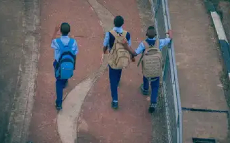 മഴ കുറഞ്ഞു, വെള്ളക്കെട്ടും; വിദ്യാർഥികൾ ഇനി സ്കൂളിലേക്ക്, കുട്ടനാട് താലൂക്കിലെ സ്കൂളുകൾ ഇന്ന് തുറക്കും