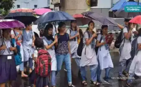 വിവിധ സ്കൂളുകൾക്ക് ദുരിതാശ്വാസ ക്യാമ്പ് അവസാനിക്കും വരെ അവധി പ്രഖ്യാപിച്ച് കളക്ടർമാർ; നിലമ്പൂരിൽ പോളിങ് ബൂത്ത് സ്കൂളുകൾക്ക് അവധി