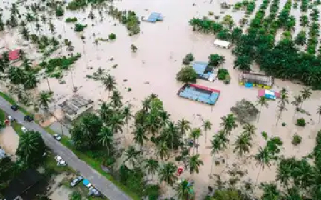 ഈ നദി തീരങ്ങളിൽ പ്രളയസാധ്യത മുന്നറിയിപ്പ്; ഓറഞ്ച് - യെല്ലോ അലേർട്ടുകൾ, ചക്രവാതച്ചുഴി ന്യുനമർദ്ദമായി ശക്തി പ്രാപിച്ചു