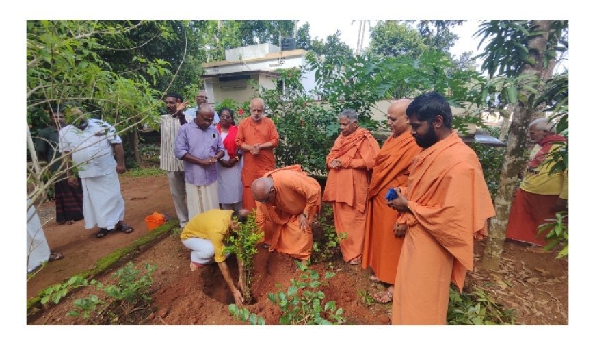 പരിസ്ഥിതി ദിനം : ശിവഗിരിയില്‍ വൃക്ഷതൈകള്‍ നട്ടു. തൈകളുടെ വിതരണവും നടന്നു