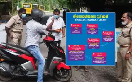 നിപ രോഗികളുടെ റൂട്ട് മാപ്പ് പുറത്തിറക്കി; പാലക്കാടും മലപ്പുറത്തും അതീവ ജാഗ്രത, കണ്ടെയ്‌മെൻ്റ് സോണുകളിലെ നിയന്ത്രണം ഇങ്ങനെ