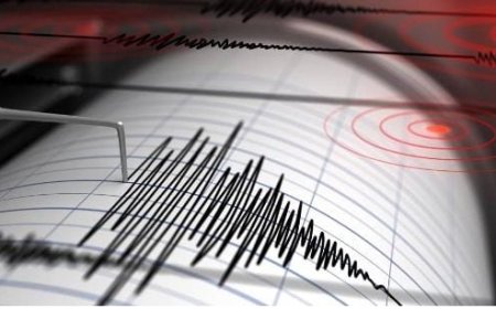 കോഴിക്കോട് വിവിധ മേഖലകളിൽ ഭൂചലനം: ഭൂമിക്കടിയിൽ നിന്നും നേരിയ ശബ്ദമുണ്ടായതായി നാട്ടുകാർ