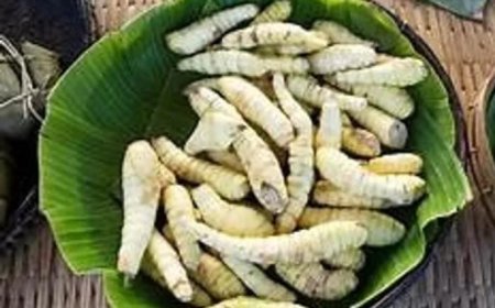 ഛർദി, വയറിളക്കം മാറാൻ കൂവ