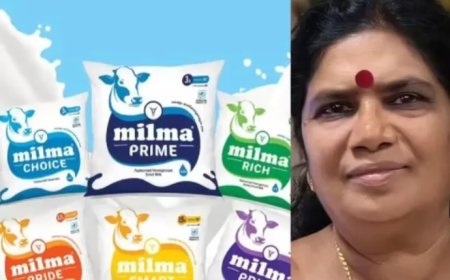 തദ്ദേശ തെരഞ്ഞെടുപ്പിന് ശേഷം സംസ്ഥാനത്ത് മിൽമ പാലിന് വില കൂടും. വില വർധിപ്പിക്കുന്നത് ആലോചനയിലുണ്ടെന്ന് മന്ത്രി