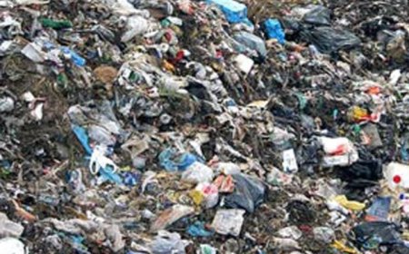 ഹരിത കർമ്മസേന മാലിന്യമെടുക്കുന്നത് നിർത്തി. തൃക്കാക്കര നഗരസഭയിലെ മാലിന്യ നീക്കം പൂർണ്ണമായി നിലച്ചു