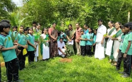 ഹരിത കേരളം മിഷന്റെ ആഭിമുഖ്യത്തിൽ സംഘടിപ്പിച്ച 'ഒരു തൈ നടാം ഒരുകോടി വൃക്ഷ തൈ നടീൽ യജ്ഞം' എറണാകുളം ജില്ലയിൽ വിജയകരമായി പൂർത്തിയാക്കി