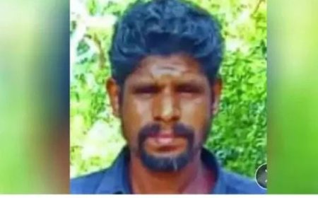 കടന്നൽ കൂട് നശിപ്പിക്കാൻ ശ്രമിക്കുന്നതിനിടെ മരത്തിൽ നിന്നു വീണ നാൽപ്പത്തിയാറുകാരൻ മരിച്ചു, കൂട് തീയിട്ട് നശിപ്പിക്കാൻ ശ്രമിക്കുന്നതിനിടെ സുരേഷിന് കടന്നൽ കുത്തേൽക്കുകയായിരുന്നു