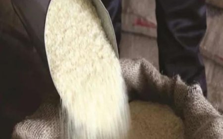 ചങ്ങനാശേരി മാർക്കറ്റിലെ മൂന്നു കടകളിൽ നിന്നു റേഷനരി പിടിച്ച സംഭവം, ജില്ലാ സപ്ലൈ ഓഫിസർ കലക്ടർക്കു റിപ്പോർട്ട് നൽകി. അവശ്യസാധന നിയമപ്രകാരം മൂന്നു പേർക്കെതിരെയും കേസ് എടുക്കാനാണു നീക്കം