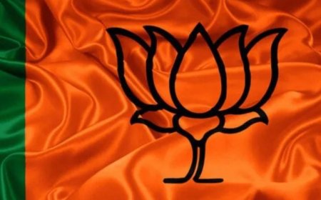 'ഓം ഹ്രീം. പ്രചട..പ്രചട..ശത്രുദോഷം തീർക്കാൻ ഹോമം നടത്തി ബി.ജെ.പി.  കർമ്മി എത്തിയത് തൃശ്ശൂരിൽ നിന്നും.  എത്തിച്ചത് സംസ്ഥാന ജനറൽ സെക്രട്ടറി എസ് സുരേഷ് എന്നും സൂചന.  നിഷേധിച്ച് ബി.ജെ.പി  നേതൃത്വം