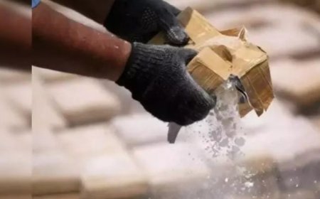 ബെംഗളൂരുവിൽ വൻ മ യക്കുമരുന്ന് ശേഖരം പോലീസ് പിടി കൂടി. 11.64 കിലോഗ്രാം എം.ഡി.എം.എ ക്രിസ്റ്റലും 1040 തീവ്ര ലഹരിഗുളികക ളും 2.35 കിലോഗ്രാം മയക്കുമരുന്ന് നി ർമാണ അസംസ്കൃത വസ്‌തുക്കളുമാ ണ് സെൻട്രൽ ക്രൈം ബ്രാഞ്ചിന്റെ ആന്റി നാർകോട്ടിക്സസ് വിഭാഗം പിടികൂടി