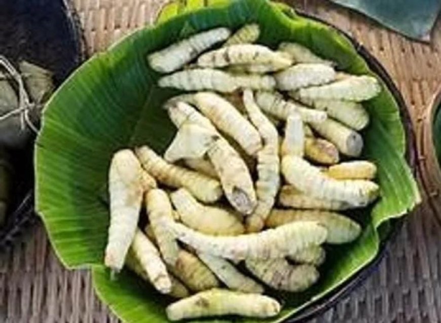 ഛർദി, വയറിളക്കം മാറാൻ കൂവ