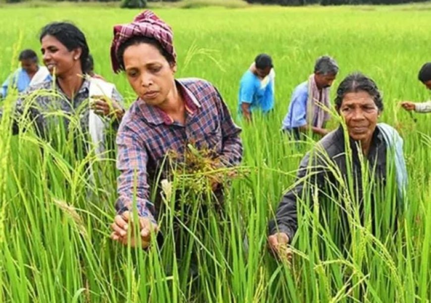 കാർഷിക സേവന കേന്ദ്രത്തിലേക്ക് സേവന ദാതാക്കളെ ക്ഷണിക്കുന്നു