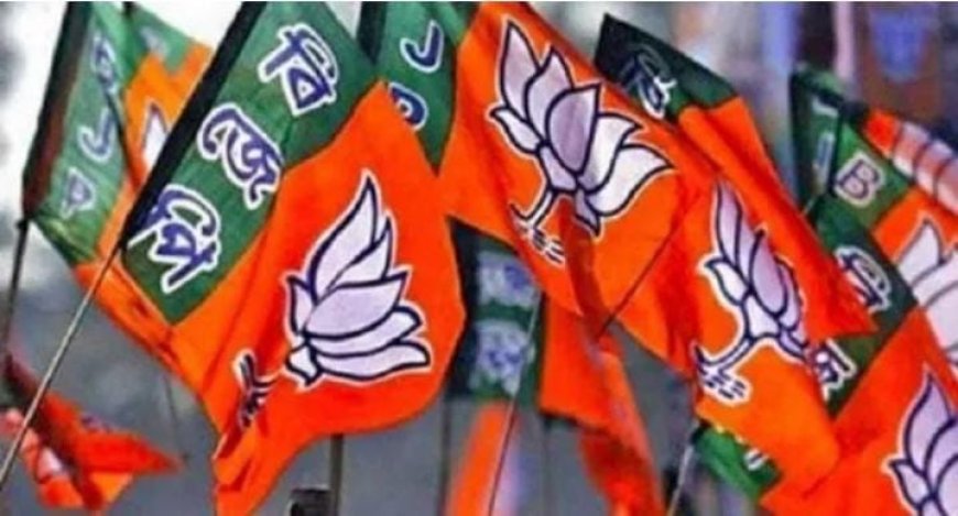 എൻ.ഡി.എയിൽ സീറ്റ് ചർച്ചകളെ തുടർന്നുള്ള പ്രതിസന്ധി അവസാനിക്കുന്നില്ല. ബി. ജെ. പി. ബി.ഡി.ജെ.എസ്. അസ്വാരസ്യങ്ങൾ പരിഹരിക്കാത്തതാണു ചർച്ചകൾ നീളാൻ കാരണം. ചങ്ങനാശേരിയിലും ഒറ്റയ്ക്കു മത്സരിക്കാൻ ബി.ഡി.ജെ.എസ്