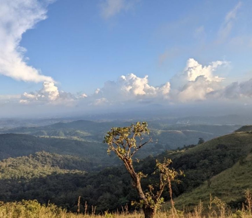 ബാബാബുദാൻ ഗിരിയിലെ ദത്ത ജയന്തി പരിപാടി കണക്കിലെടുത്ത് ഡിസംബർ 1 മുതൽ നാല് ദിവസത്തേക്ക് ചിക്കമഗളൂർ താലൂക്കിലെ ചന്ദ്രദ്രോണ കുന്നിൻ പ്രദേശങ്ങളിലെ ഹിൽ സ്റ്റേഷനുകളിൽ സന്ദർശകർക്ക് വിലക്ക്.