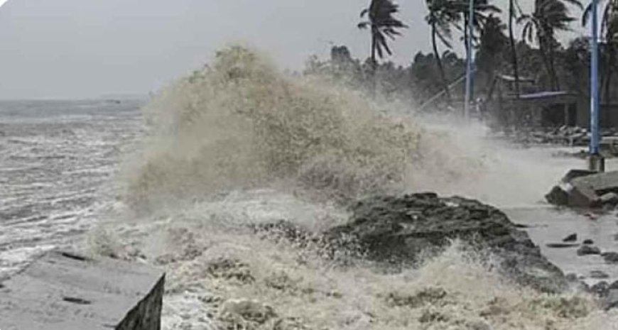 കനത്ത മഴയും കാറ്റും തിരമാലയും, ഡിറ്റ്‌വ ഇന്ത്യൻ തീരം തൊട്ടു; തമിഴ്‌നാട്ടിൽ റെഡ് അലർട്ട്