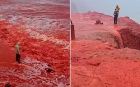 ഒരു മഴ പെയ്തതോടെ ചോര ചുവപ്പായി ഈ പ്രദേശം, കേൾക്കുമ്പോൾ അസാധ്യം, ഇറാനിൽ സംഭവിച്ചത് അപൂർവ്വ പ്രതിഭാസം!