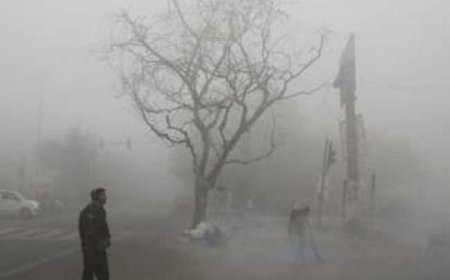 മൂടൽമഞ്ഞിൽ വലഞ്ഞ് ഉത്തരേന്ത്യ; വിമാന സർവീസുകൾ ഇന്നും റദ്ദാക്കിയേക്കും