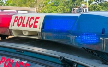 സ്കൂളിൽ ക്രിസ്‌മസ്‌ ആഘോഷങ്ങൾക്കായി ഉപയോഗിച്ചിരുന്ന അലങ്കാര വസ്ക്കൾ നശിപ്പിക്കുകയും കടകളിലെ അലങ്കാര സാമഗ്രികൾ കേടുവരുത്തുകയും ചെയ്‌ത നാലു പേരെ അറസ്റ്റ് ചെയ്തു.