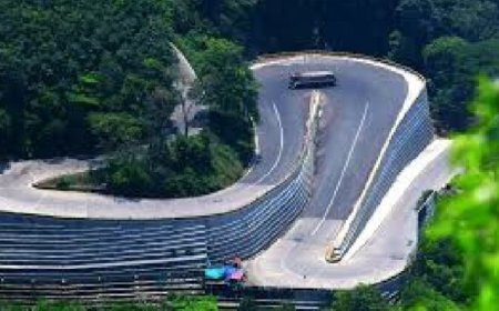 ന്യൂ ഇയർ ആഘോഷം ; താമരശ്ശേരി ചുരത്തിൽ ഗതാഗത നിയന്ത്രണം