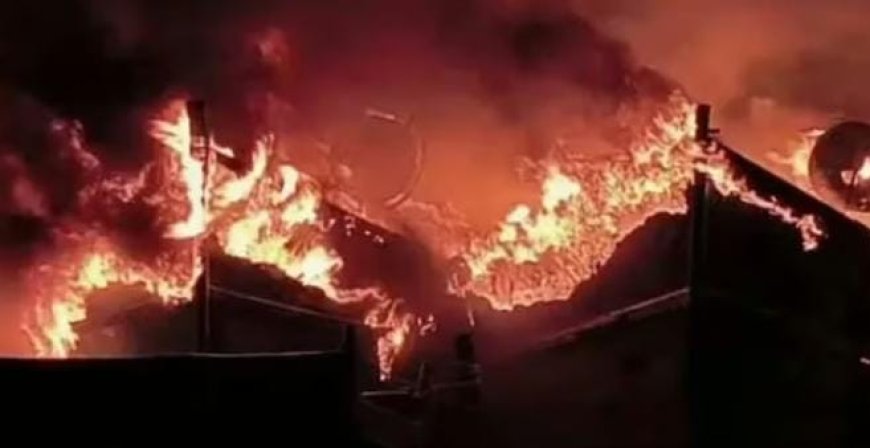 കൊല്ലത്ത് വൻതീപിടിത്തം; കുരീപ്പുഴ കായലിൽ കെട്ടിയിട്ടിരുന്ന പത്ത് ബോട്ടുകൾ കത്തിനശിച്ചു