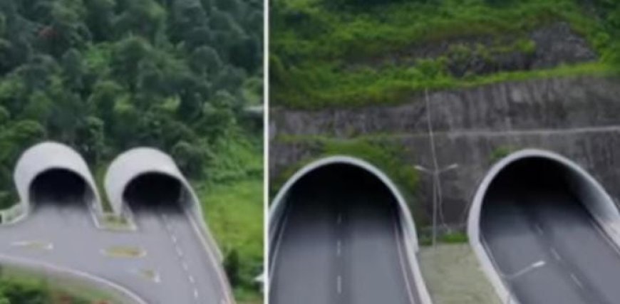 സ്വപ്ന പദ്ധതി തടയണമെന്നാവശ്യപ്പെട്ട ഹർജി തള്ളി ഹൈക്കോടതി; നടപടിക്രമങ്ങളിൽ ഒരു വീഴ്ചയും ഇല്ല, വയനാട് തുരങ്കപാത നിർമാണം തുടരാം