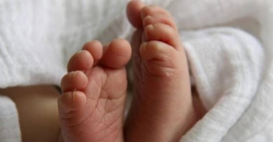 പുൽക്കൂട്ടിൽ പിറന്ന പൈതലിനെപ്പോലെ അവൻ… അമ്മത്തൊട്ടിലിലെ ആ നക്ഷത്രം ഇനി ‘ലിയോ’