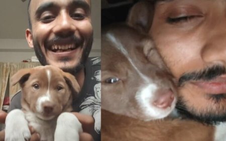 വാങ്ങരുത്, ദത്തെടുക്കൂ’; റോഡില്‍ അകപ്പെട്ട കുഞ്ഞൻ നായയ്ക്ക് രക്ഷകനായി സൊമാറ്റോ റൈഡര്‍, വീഡിയോ വൈറല്‍