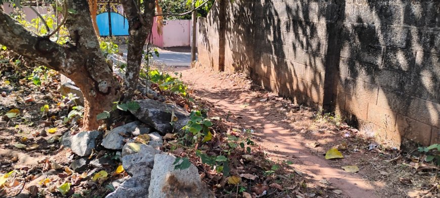 ഭൂമിക്ക് വേണ്ടിയുള്ള നിയമ പോരാട്ടവുമായി പട്ടികജാതി കുടുംബം 