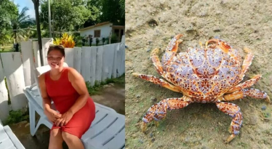 ടിക് ടോക്കിൽ വീഡിയോ ഇടാനായി ‘ഡെവൾ ക്രാബി’നെ കഴിച്ചു; ഫിലിപ്പീൻസുകാരിയായ ഫുഡ് വ്ലോഗർക്ക് ദാരുണാന്ത്യം