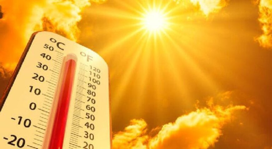 ചുട്ടുപൊള്ളി സംസ്ഥാനം; ജാഗ്രതാ നിർദേശവുമായി സംസ്ഥാന ദുരന്ത നിവാരണ അതോറിറ്റി