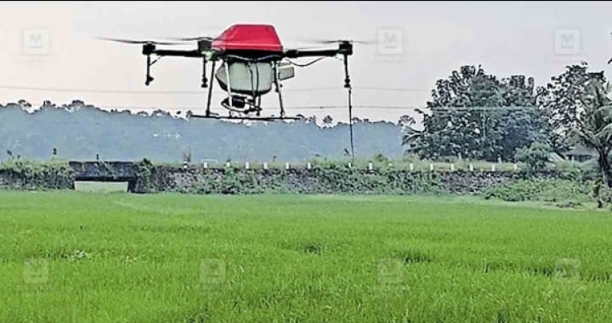 പ്രൊഫഷണൽ കൃഷിയില്ലായ്മ കേരളത്തിന് ഉണ്ടാക്കുന്ന അവസരനഷ്ടം