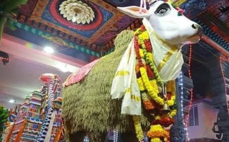 കതിർകാള എഴുന്നള്ളിപ്പ്