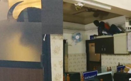 മറയൂരിൽ കാട്ടുപോത്ത്; പഞ്ചായത്ത് ഓഫീസിലും ഹോട്ടലിലും പരാക്രമം