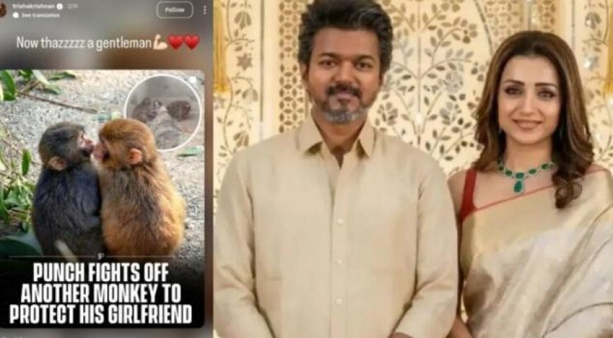 കാമുകിയെ രക്ഷിച്ചു, ഇങ്ങനെയാവണം ഒരു ജെൻ്റിൽമാൻ’; തൃഷയുടെ ഇൻസ്റ്റാഗ്രാം സ്റ്റോറി വൈറൽ, സൂചനയോ?