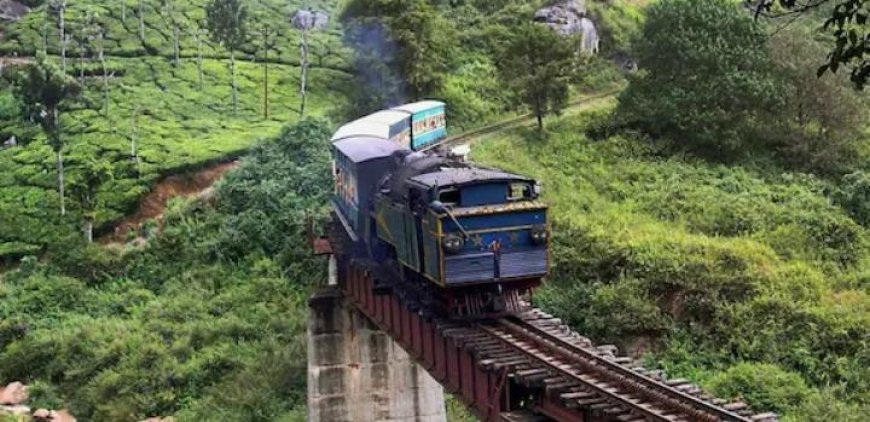 ഊട്ടിയിലേക്കുള്ള പൈതൃക ട്രെയിൻ വാടകയ്ക്കെടുത്ത് ജർമൻ സ്വദേശികൾ