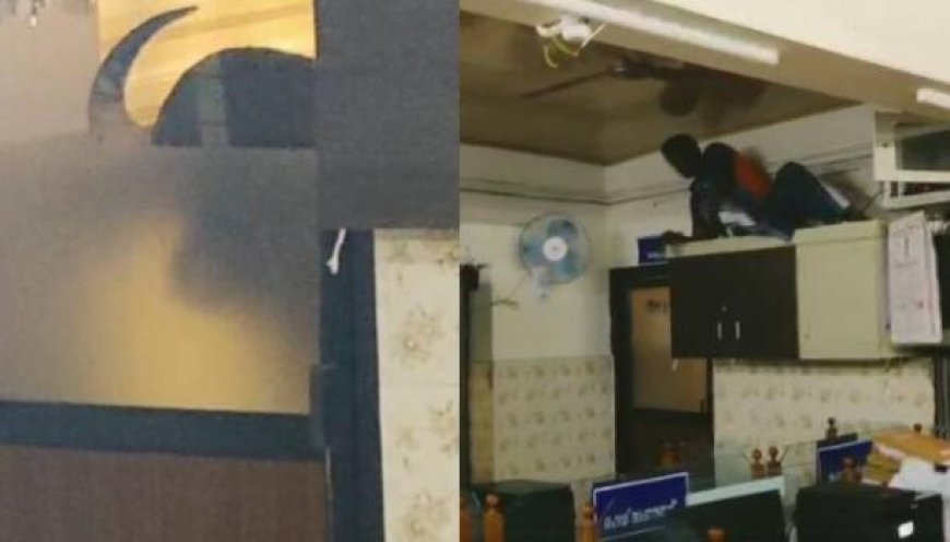 മറയൂരിൽ കാട്ടുപോത്ത്; പഞ്ചായത്ത് ഓഫീസിലും ഹോട്ടലിലും പരാക്രമം