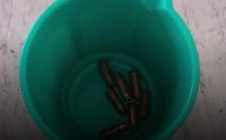 പേട്ട റെയിൽവേ സ്റ്റേഷൻ ആശുപത്രിയിലെ ശുചിമുറിയിൽ വെടിയുണ്ടകൾ; അന്വേഷണം ഊർജിതം