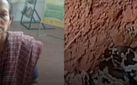 കോഴിക്കോട്ട് തൊഴിലുറപ്പ് ജോലിക്കിടെ മണ്ണിളക്കിയപ്പോൾ കണ്ട കാഴ്ചയിൽ ഭയന്ന് വയോധിക, ഓടുന്നതിനിടെ വീണ് പരിക്കേറ്റു, പെരുമ്പാമ്പിനെ പടികൂടി