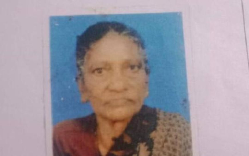 ശരീരത്തിന്റെ പാതി ഭക്ഷിച്ച നിലയിൽ; മലക്കപ്പാറയിൽ വയോധികയെ പുലി ആക്രമിച്ചുകൊന്നു