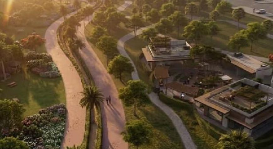 പാർക്കിലിരുന്നും ഇനി ജോലി ചെയ്യാം; ‘വർക്ക് ഫ്രം പാർക്ക്’ അവതരിപ്പിച്ച് ദുബായ് മുനിസിപ്പാലിറ്റി